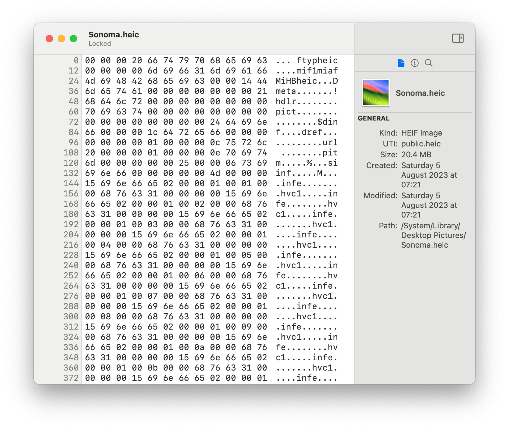 HextEdit on macOS showing the hex view of a binary file alongside the byte inspector